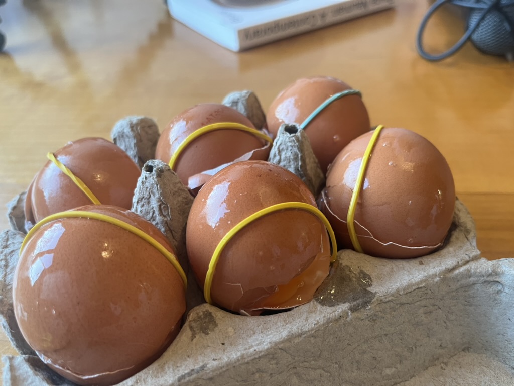EGG Performance 1