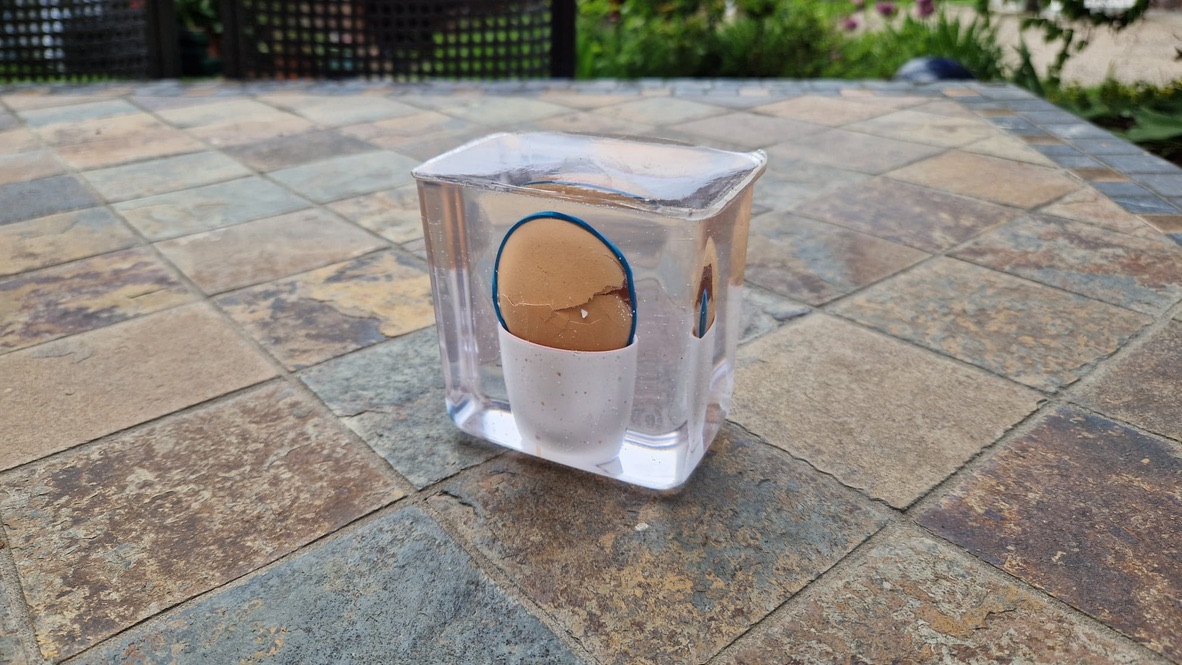 Resin Cast Egg
